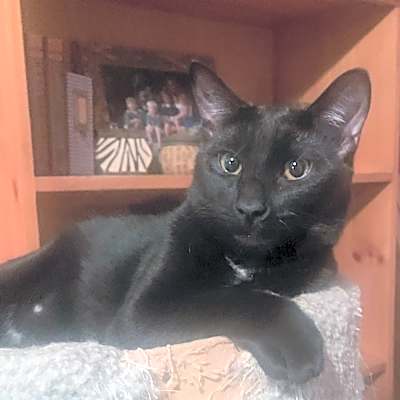 Photo of Charlie #image
