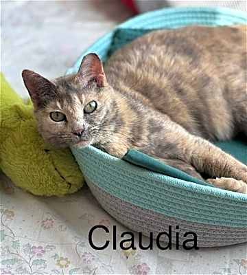 Photo of Claudia #image
