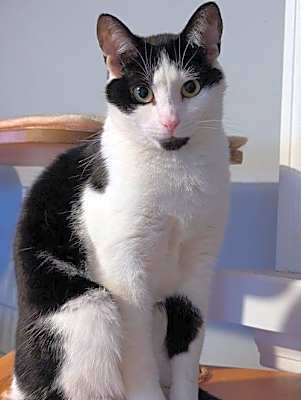 Photo of Fleetwood Flynn #image