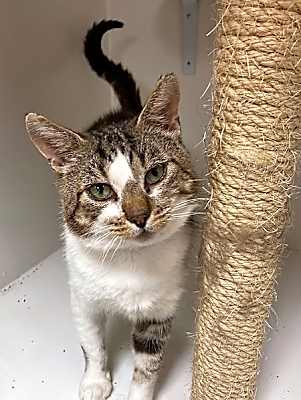 Photo of Buster #image
