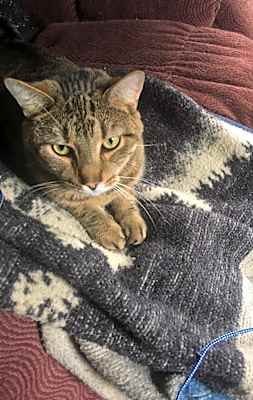 Photo of Simon #image