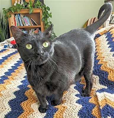 Photo of Moxi #image