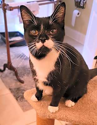 Photo of Minnie #image