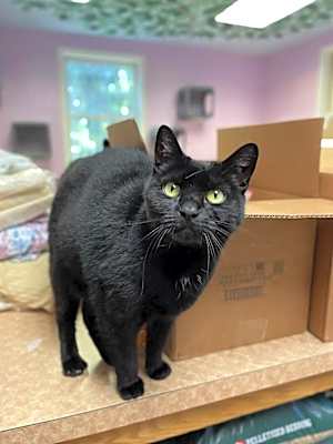 Photo of Ms. Jingles #image