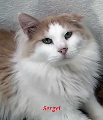 Photo of Sergi #image