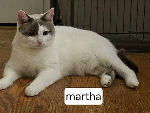 Photo of Martha #image