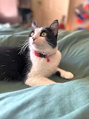 Photo of Phoebe Ann #image
