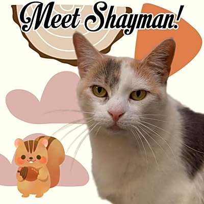 Photo of Shayman #image