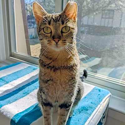 Photo of Hera #image