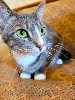 Photo of Max #image