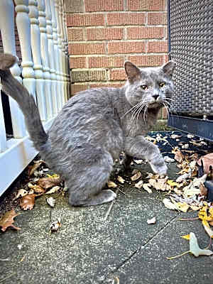 Photo of Charlie #image