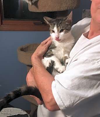 Photo of Archie #image