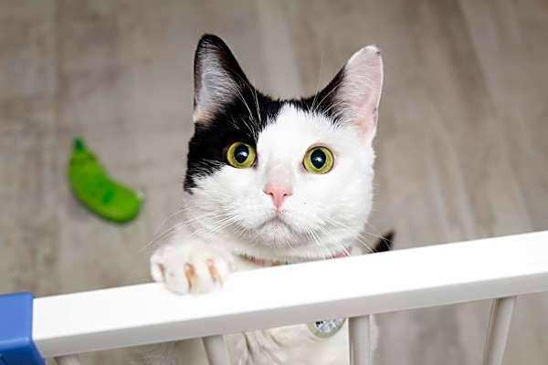 Photo of Mochi [READ BIO PLS] #image