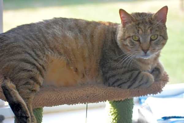 Photo of Rupert #image