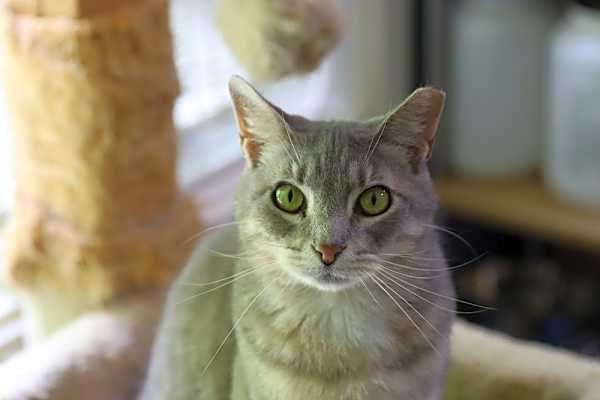 Photo of Allie #image