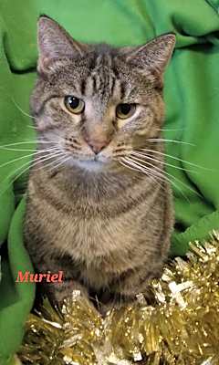 Photo of Muriel #image