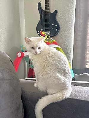 Photo of Leo #image