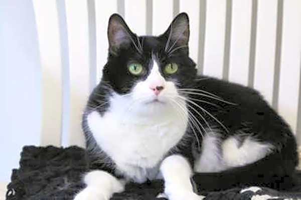 Photo of Malachi #image