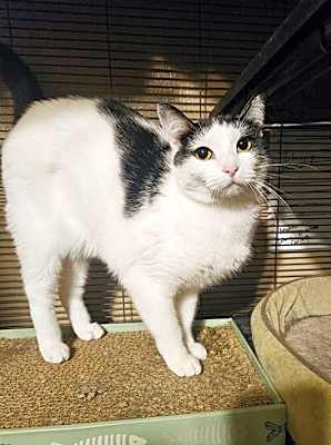 Photo of Kora #image