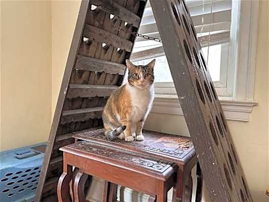 Photo of Mable #image