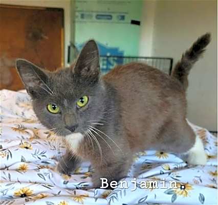 Photo of Benjamin #image