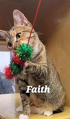 Photo of Faith #image
