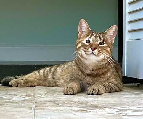 Photo of Ariel #image