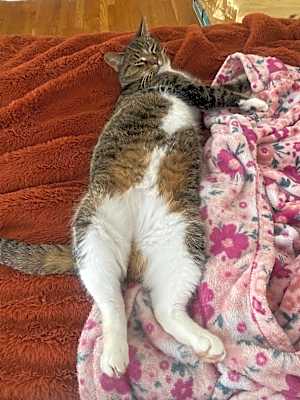 Photo of Liz #image