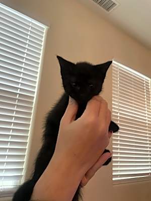 Photo of Unnamed #image
