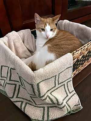 Photo of Zeke #image