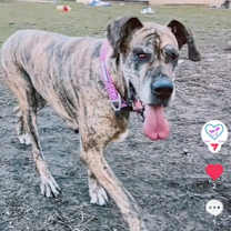 Thumbnail photo of Dana #3