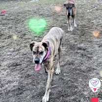 Thumbnail photo of Dana #4