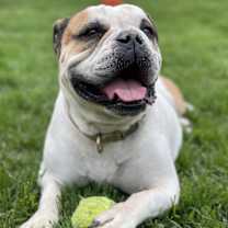 Thumbnail photo of Birdie #1