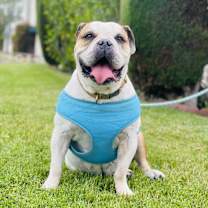 Thumbnail photo of Birdie #2