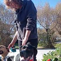 Thumbnail photo of Duke #1
