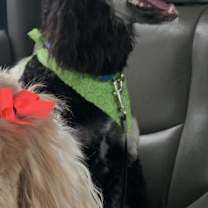 Thumbnail photo of Marlee #2