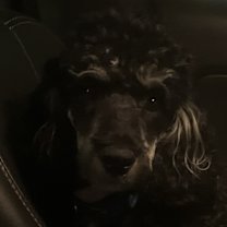 Thumbnail photo of Marlee #3