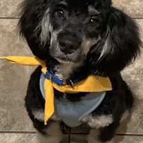 Thumbnail photo of Marlee #4
