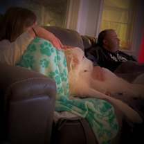 Thumbnail photo of Bodhi #4