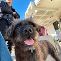 Thumbnail photo of Romeo #4
