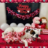 Thumbnail photo of Rashida #2