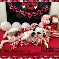 Thumbnail photo of Rashida #3