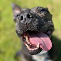 Thumbnail photo of Ellie #2