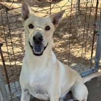 Thumbnail photo of Dave #1