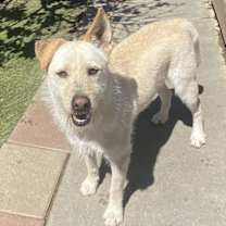 Thumbnail photo of Liam #1