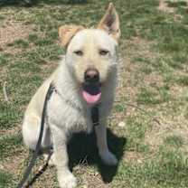 Thumbnail photo of Liam #2