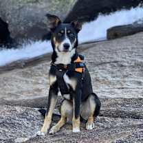 Thumbnail photo of Haku #2