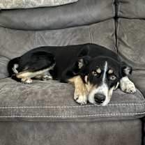 Thumbnail photo of Haku #3