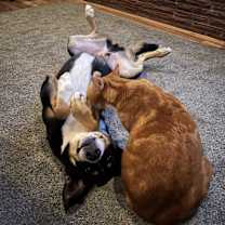 Thumbnail photo of Haku #4