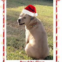 Thumbnail photo of PONCHITO #1